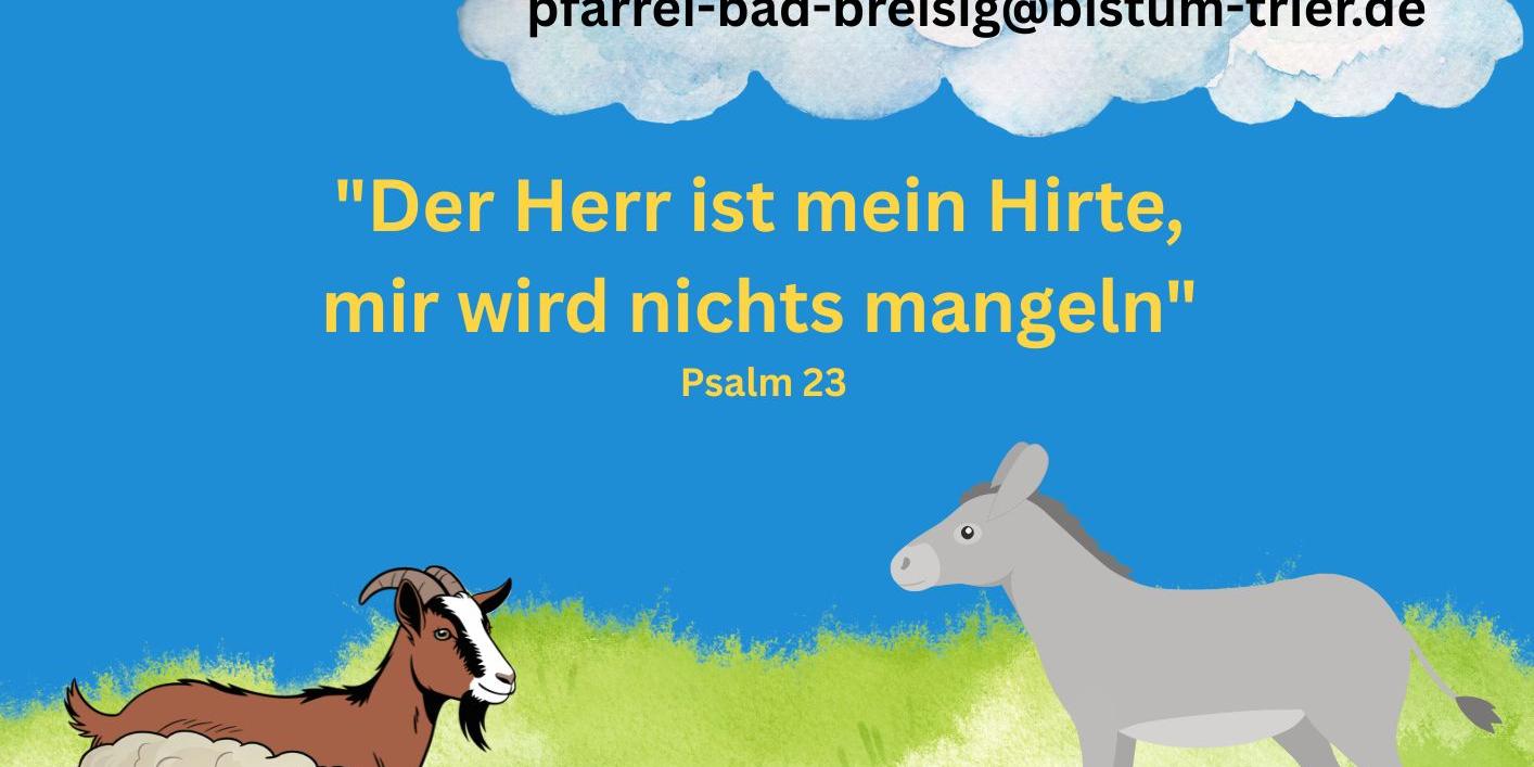 Gottesdienst Schafe
